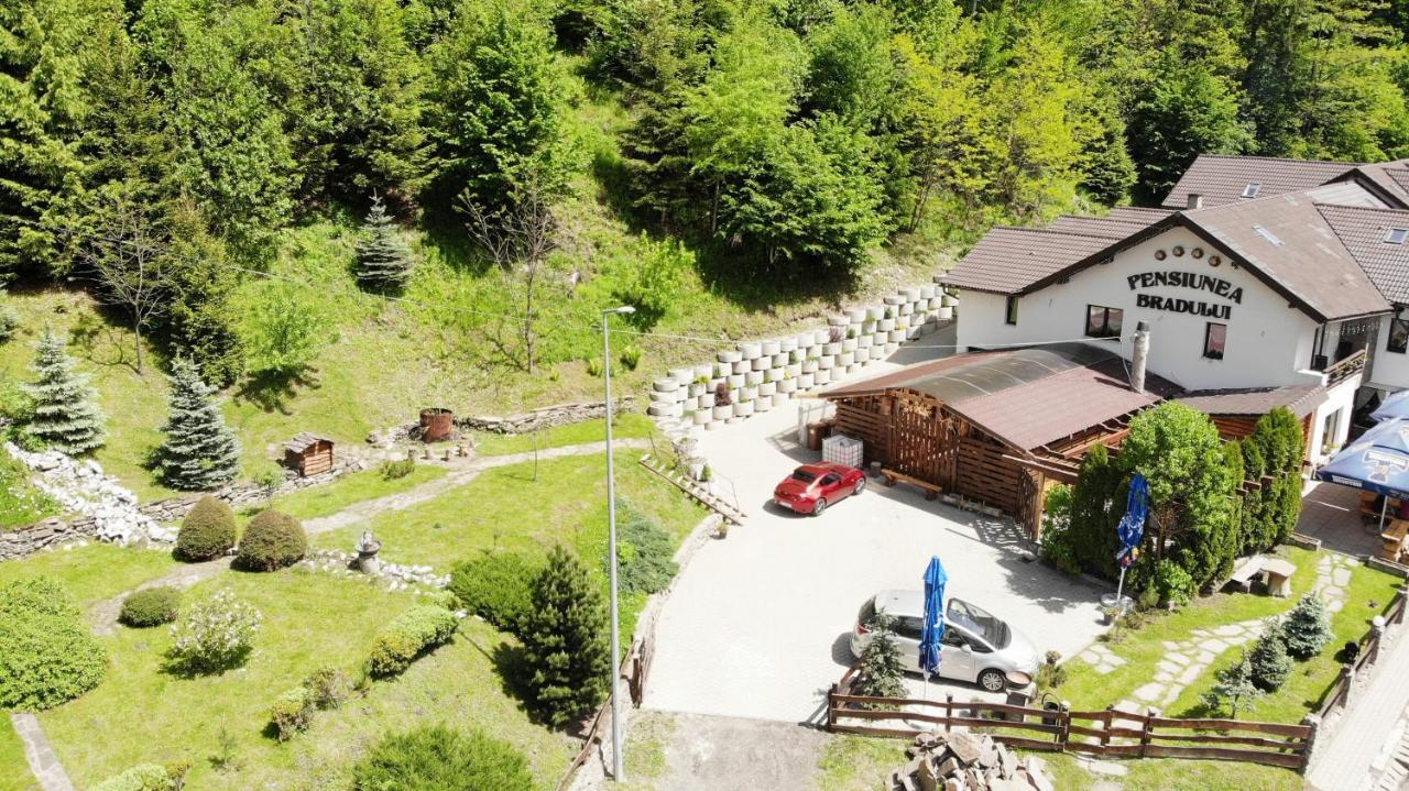 Pensiunea Bradului Colibiţa Dış mekan fotoğraf